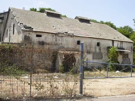 �����: ��� �����