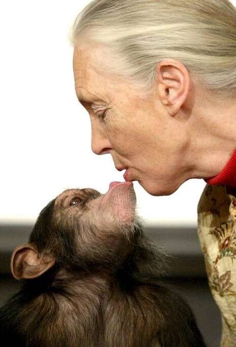 צילום: איי-אף-פי צילום: איי-אף-פי