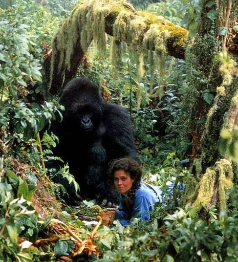 צילום: מתוך הסרט צילום: מתוך הסרט