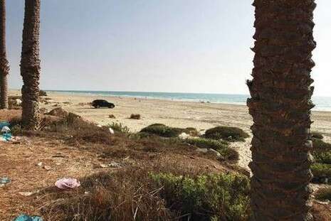 צילום: מקס ילינסון צילום: מקס ילינסון