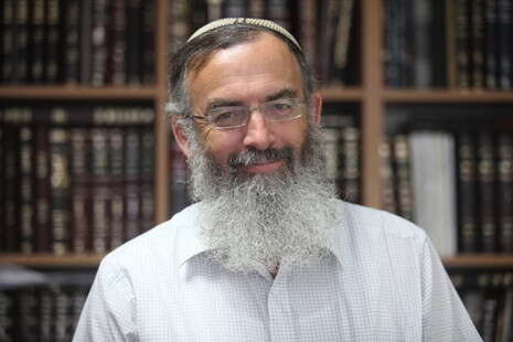 צילום: יונתן שאול צילום: יונתן שאול