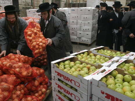 צילום ארכיון: פלאש 90 צילום ארכיון: פלאש 90