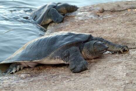 �����: ���� 90