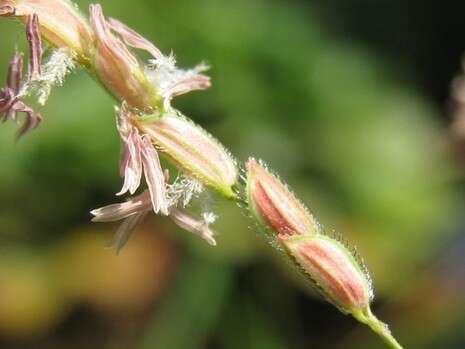 צילם: ד''ר יובל ספיר צילם: ד''ר יובל ספיר