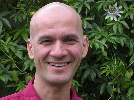 ����� ����