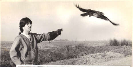 צילום: ריצ'רד ריקו צילום: ריצ'רד ריקו