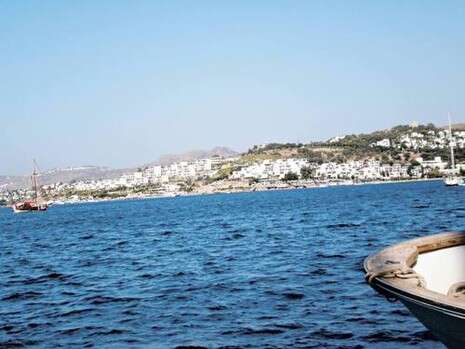 צילום: רוביק רוזנטל צילום: רוביק רוזנטל