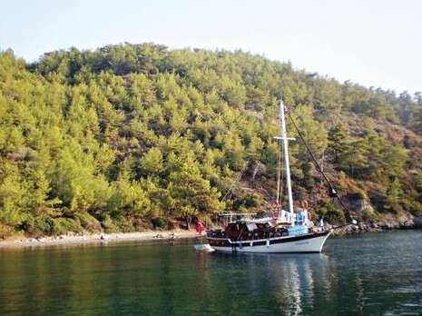 צילום: רוביק רוזנטל צילום: רוביק רוזנטל