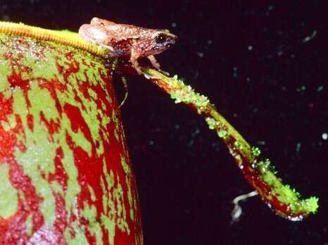 �����: ������