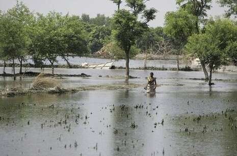 צילום: אי-פי צילום: אי-פי