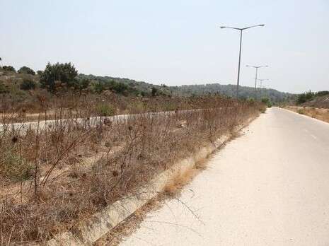 צילום: אלכס רוזקובסקי צילום: אלכס רוזקובסקי