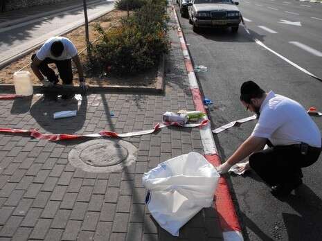 צילום: אשדודנט צילום: אשדודנט