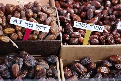 צילום: יח''צ צילום: יח''צ