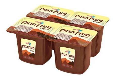 יח''צ יח''צ