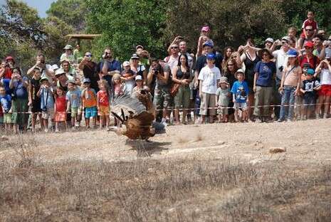 צילום: יח''צ צילום: יח''צ