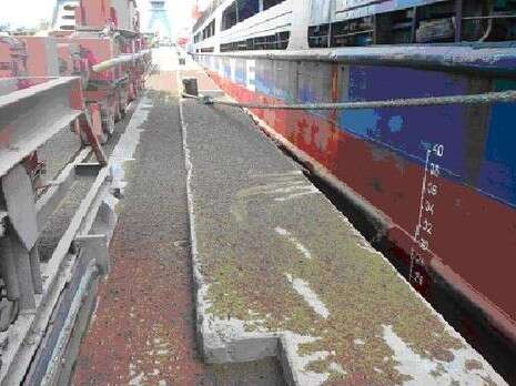 צילום באדיבות המשרד להגנת הסביבה צילום באדיבות המשרד להגנת הסביבה