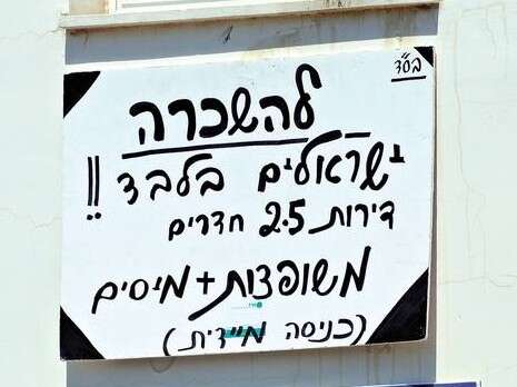 צילום: ראובן קסטרו צילום: ראובן קסטרו