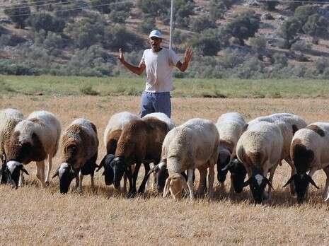 צילום ארכיון: יגאל לוי צילום ארכיון: יגאל לוי