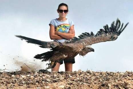 �����: ���-��-��