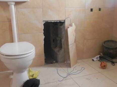 צילום: ערן שקד צילום: ערן שקד