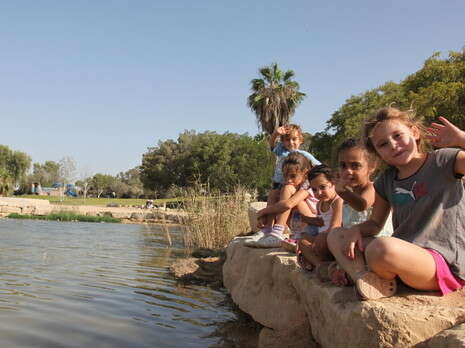 צילום: יהודה לחיאני צילום: יהודה לחיאני