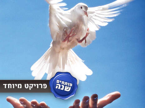 גטי טימג'ס גטי טימג'ס