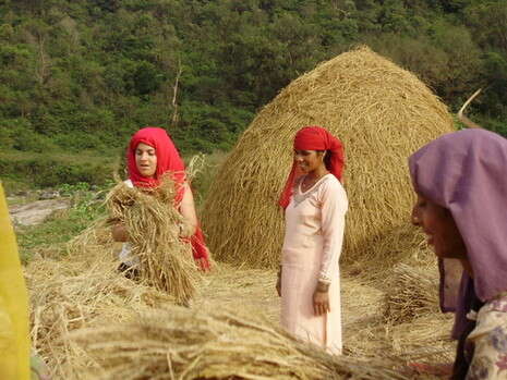 �����: ��� ����� ���