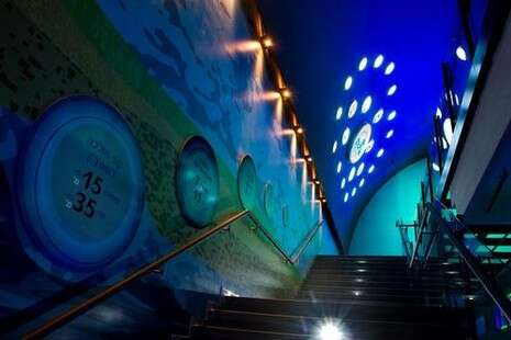 צילום: יח''צ צילום: יח''צ