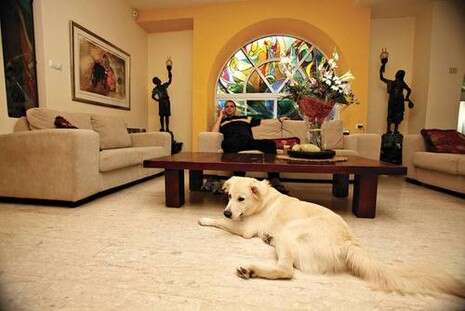 צילום: אדי ישראל צילום: אדי ישראל