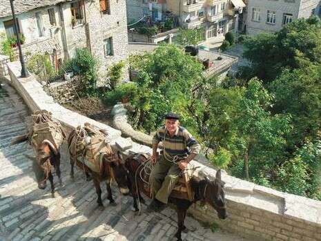 צילום: MCT צילום: MCT