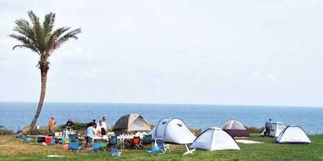 צילום: חנן לבבי צילום: חנן לבבי