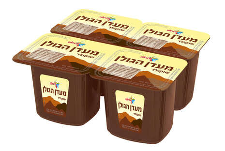 יח''צ יח''צ