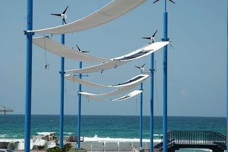 צילום: תמיר צדוק צילום: תמיר צדוק