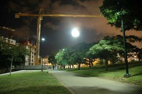 צילום: תמיר צדוק צילום: תמיר צדוק