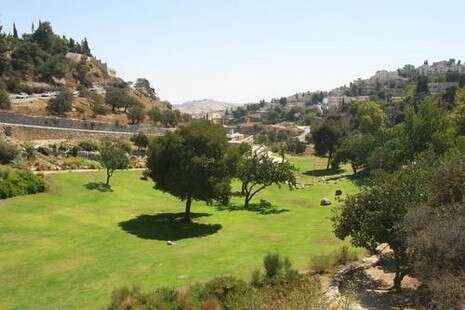 צילום: שימי נכטיילר צילום: שימי נכטיילר
