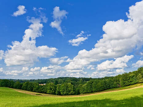 �����: SXC