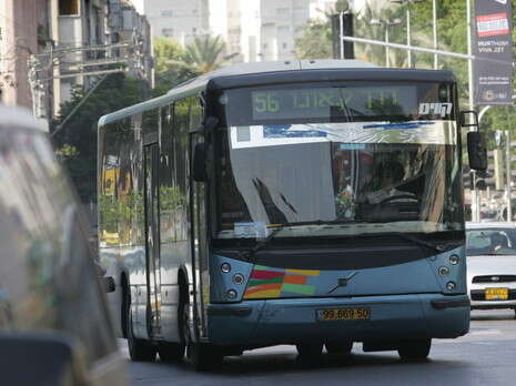 צילום ארכיון: רענן כהן צילום ארכיון: רענן כהן