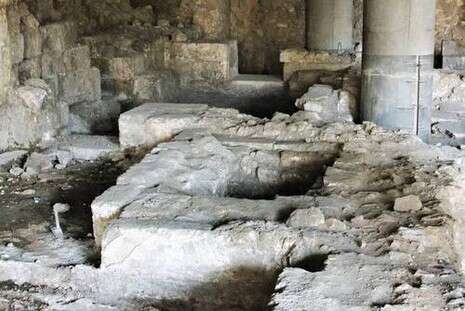 צילום: דובי זכאי צילום: דובי זכאי