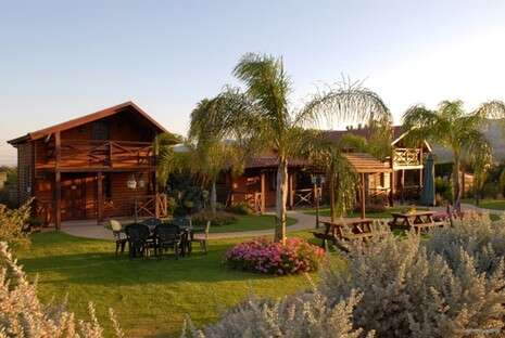 �����: ���� ��