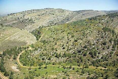 �����: �������