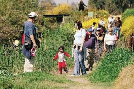 צילום: אלכס רוזובסקי צילום: אלכס רוזובסקי