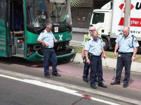 צילום: מקס ילינסון צילום: מקס ילינסון