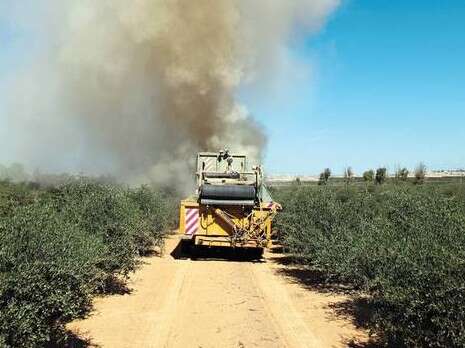 צילום: יהודה לחיאני צילום: יהודה לחיאני