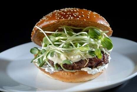 �����: �� �� ������