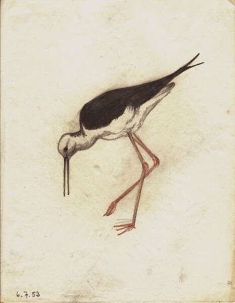 ציור: אריה חצור, באדיבות משפחת חצור ציור: אריה חצור, באדיבות משפחת חצור