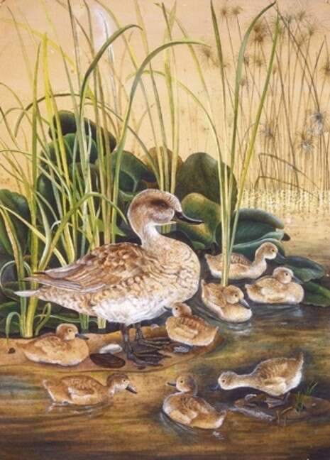 ציור: אריה חצור, באדיבות משפחת חצור ציור: אריה חצור, באדיבות משפחת חצור