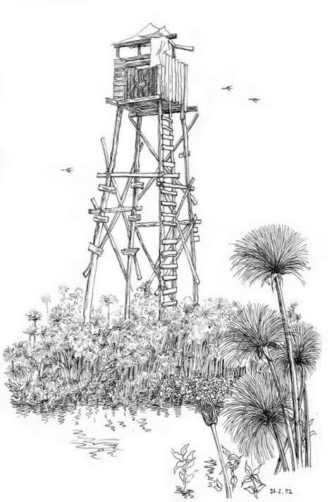 ציור: אריה חצור, באדיבות משפחת חצור ציור: אריה חצור, באדיבות משפחת חצור