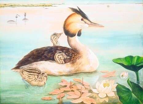 ציור: אריה חצור, באדיבות משפחת חצור ציור: אריה חצור, באדיבות משפחת חצור