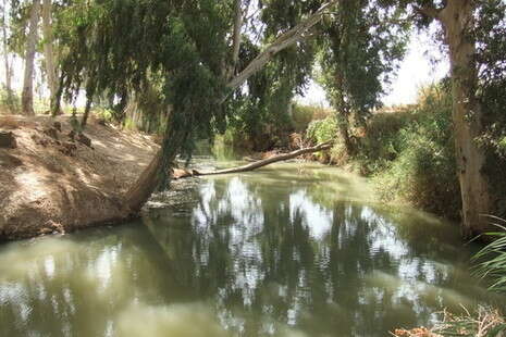 צילום: דובי זכאי צילום: דובי זכאי