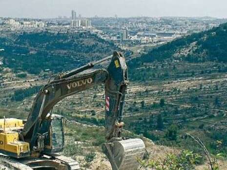 צילום: החברה להגנת הטבע צילום: החברה להגנת הטבע